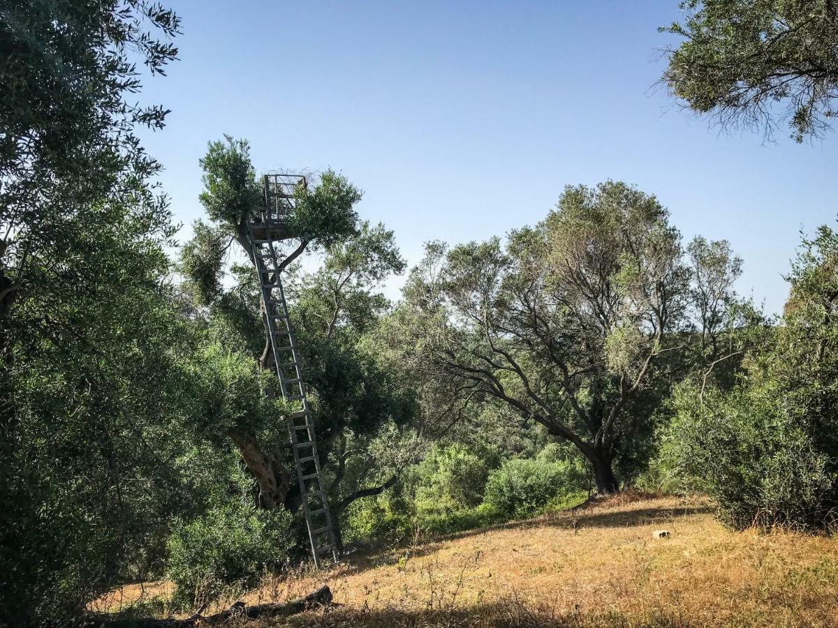 Hidden Gem In Nature Reserve Near The Beach - Corfu South Kritika  Exterior photo